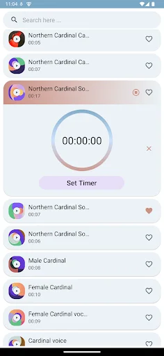 I-download ang Cardinal Bird Sounds – Mga Ringtone ng Ibon - Screenshot 7