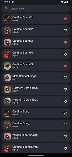 I-download ang Cardinal Bird Sounds – Mga Ringtone ng Ibon - Screenshot 2