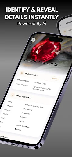 I-download ang Jewelry Identifier – Tukuyin ang Gemstone nang Libre - Screenshot 12