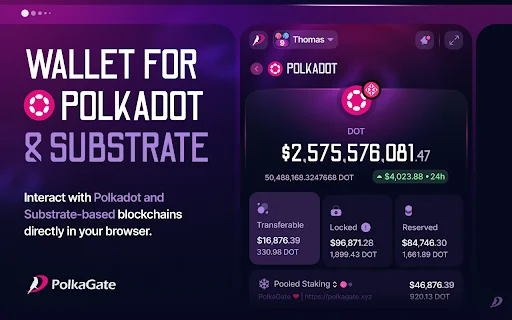 I-download ang PolkaGate: Ang Pinakamahusay na Polkadot Wallet - Screenshot 1