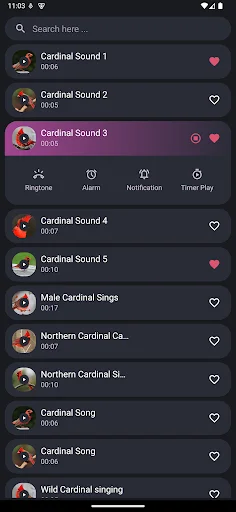 I-download ang Cardinal Bird Sounds – Mga Ringtone ng Ibon - Screenshot 3