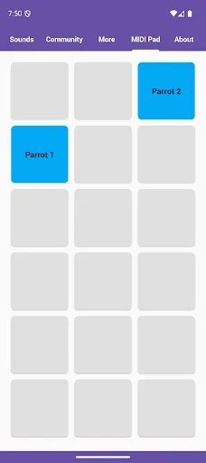 I-download ang Parrot Sounds – Pinakamahusay na Parrot Soundboard - Screenshot 5