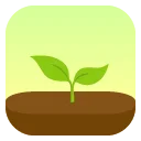 I-download ang Forest: Manatiling Nakatuon at Maging Produktibo