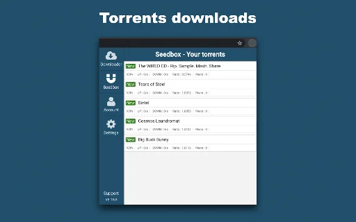 Debrid-Link Extension: Mabilis na Download at Seedbox Para sa Iyo - Screenshot 2