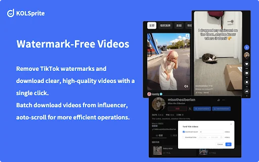 KOLSprite: TikTok Downloader at Analytics – I-download at Suriin! - Screenshot 2